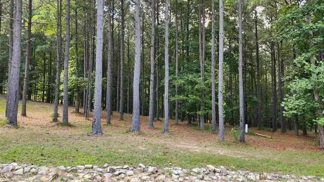 a view of a backyard with a trees