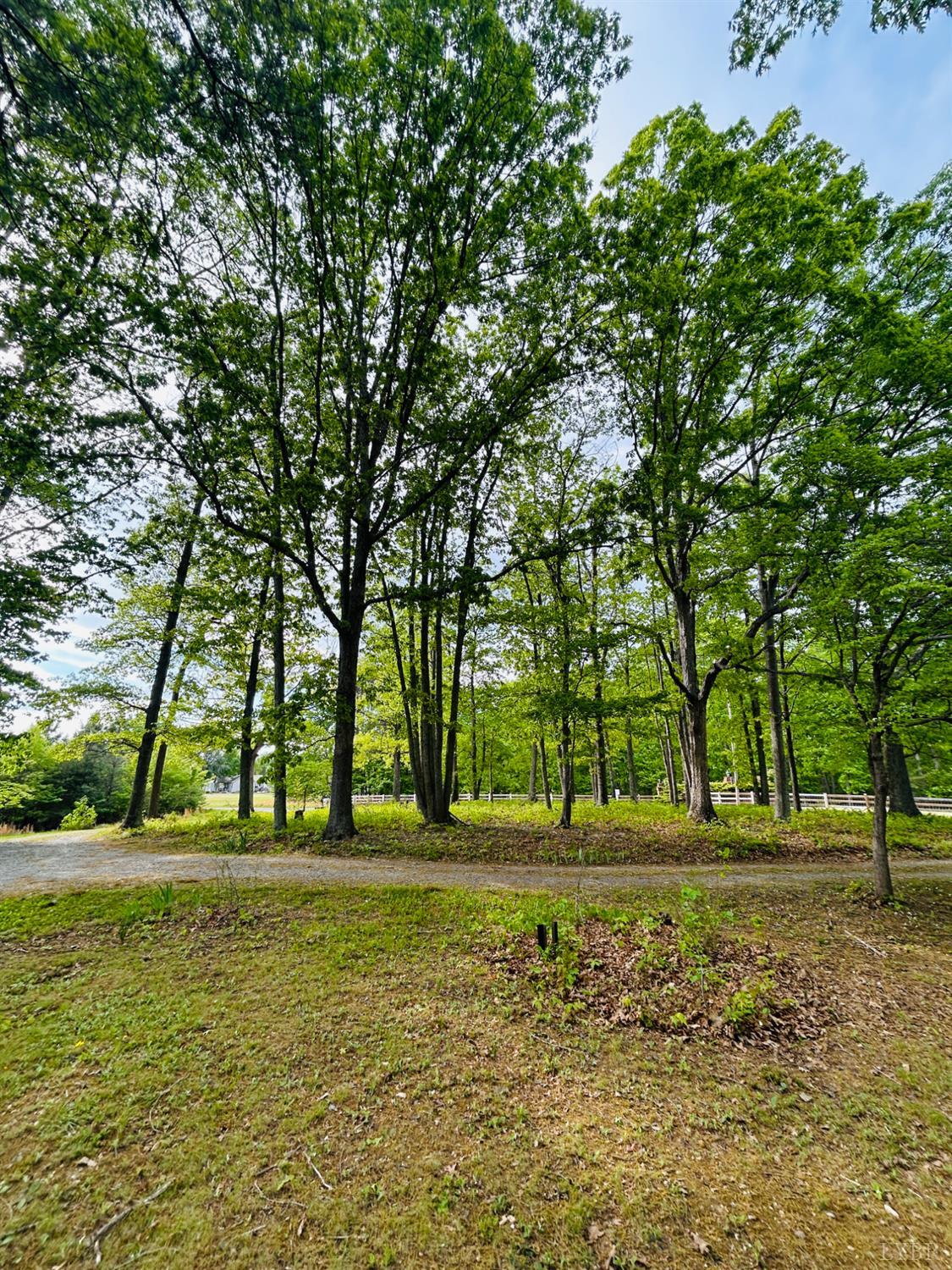 465 Wileman Road Lynch Station, VA 24571 - Photo 42 of 45
