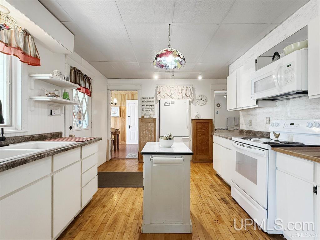 527 North Co 437 Road Cooks, MI 49817 - Photo 2 of 27