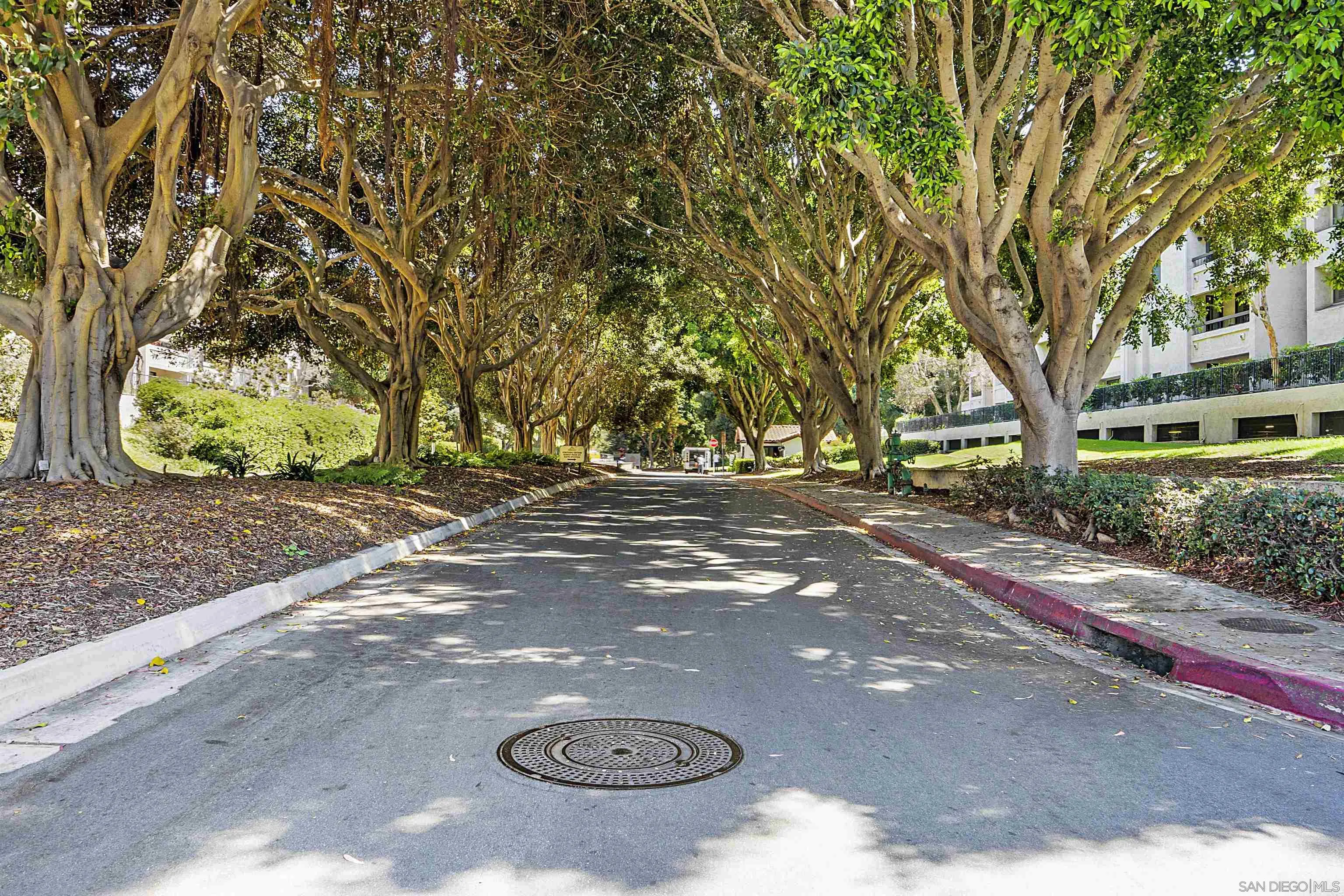 5605 Friars Road, Unit 304 San Diego, CA 92110 - Photo 2 of 37 a view of outdoor space with trees
