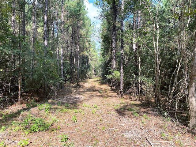 0 Five Lakes Road Bush, LA 70431 - Photo 11 of 15 Gallery Image 11