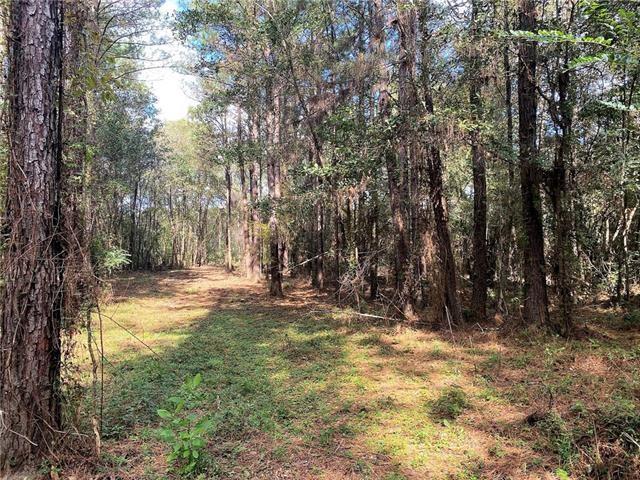 0 Five Lakes Road Bush, LA 70431 - Photo 12 of 15 Gallery Image 12