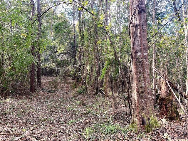 0 Five Lakes Road Bush, LA 70431 - Photo 13 of 15 Gallery Image 13