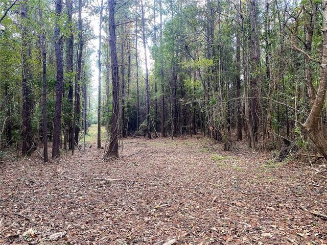 0 Five Lakes Road Bush, LA 70431 - Photo 14 of 15 Gallery Image 14