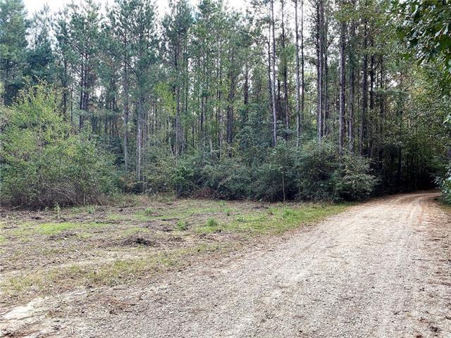 0 Five Lakes Road Bush, LA 70431 - Photo 5 of 15 Gallery Image 5