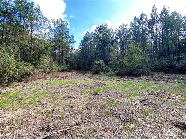 0 Five Lakes Road Bush, LA 70431 - Photo 7 of 15 Gallery Image 7