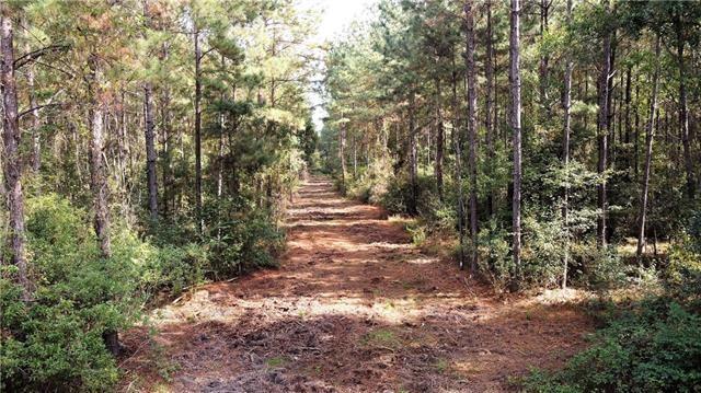 0 Five Lakes Road Bush, LA 70431 - Photo 8 of 15 Gallery Image 8