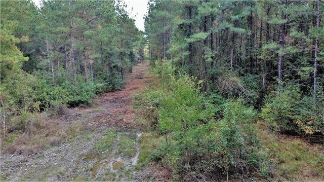 0 Five Lakes Road Bush, LA 70431 - Photo 9 of 15 Gallery Image 9