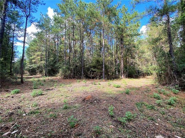 0 Five Lakes Road Bush, LA 70431 - Photo 10 of 15 Gallery Image 10