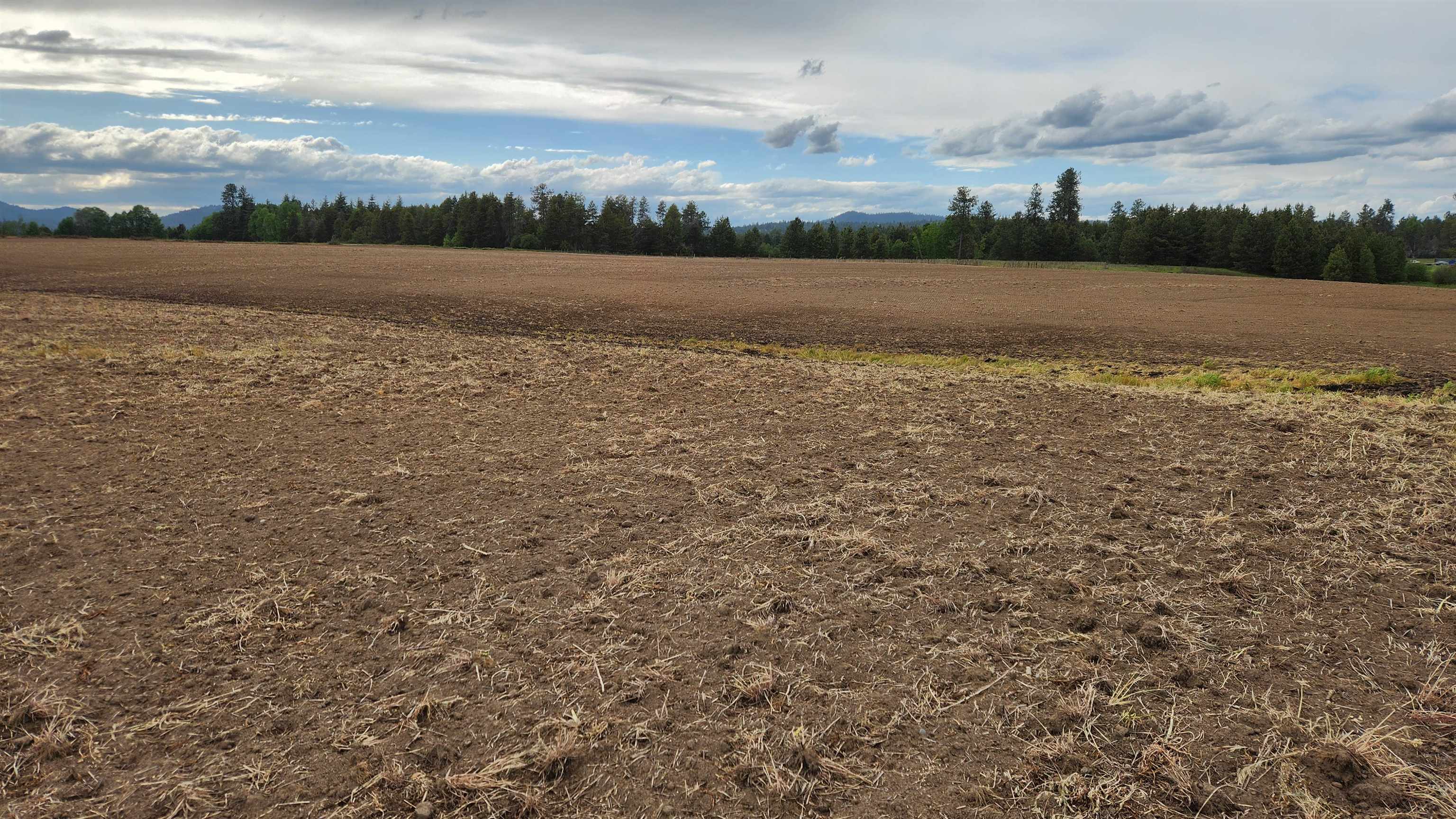 37313 North Grove Road Deer Park, WA 99006 - Photo 23 of 25