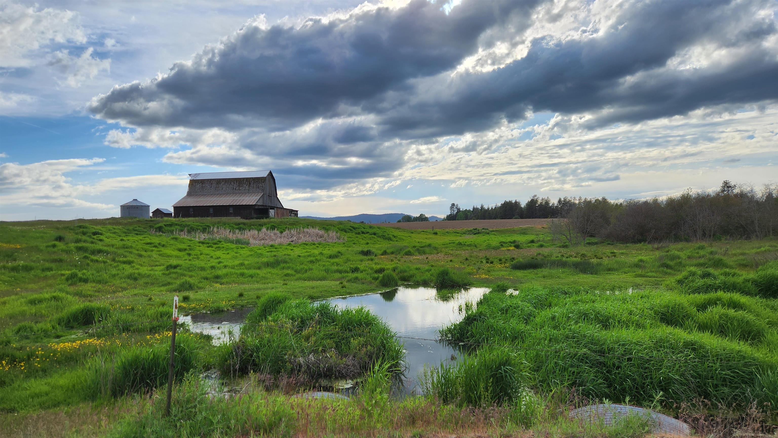 37313 North Grove Road Deer Park, WA 99006 - Photo 25 of 25