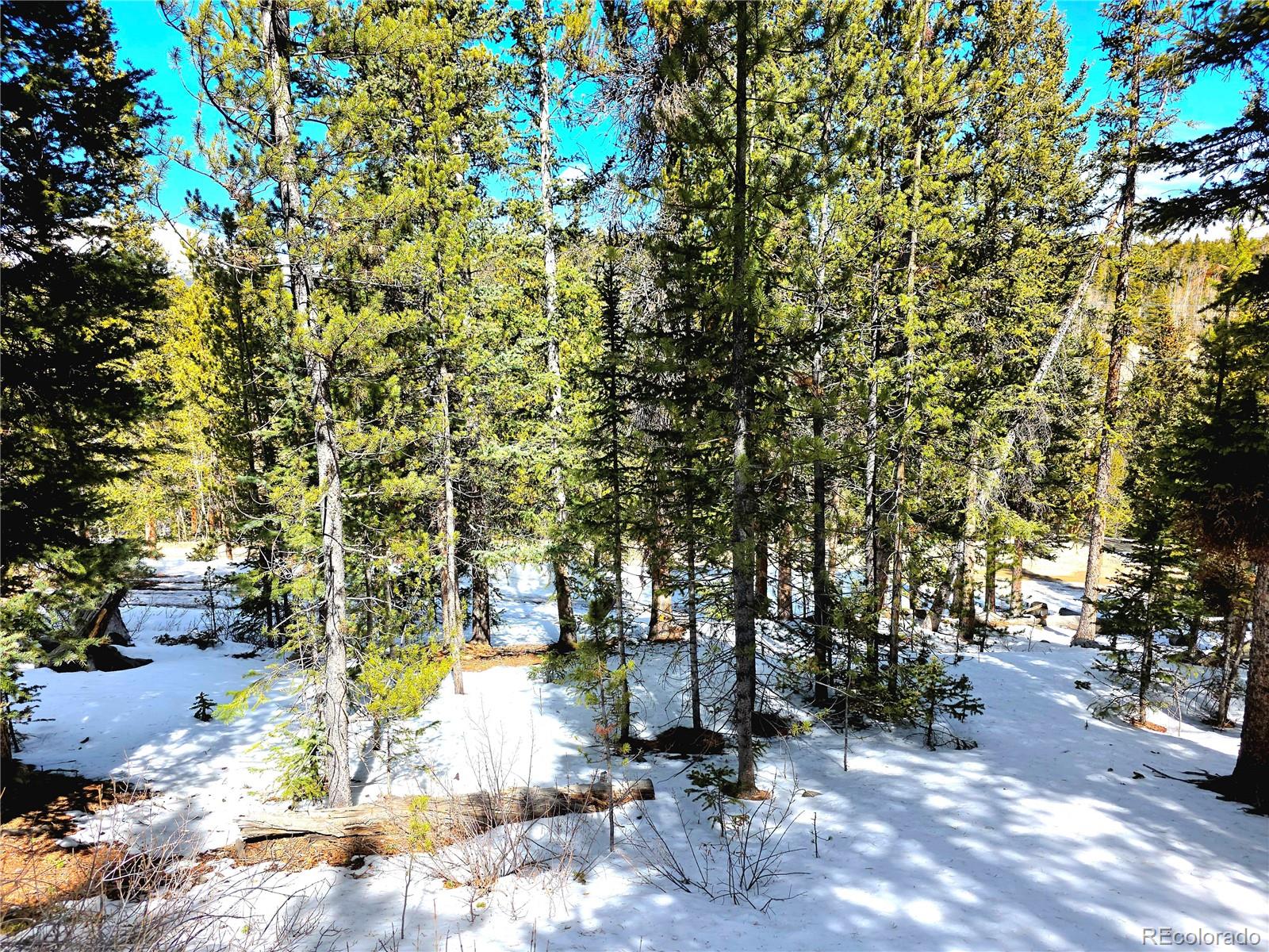 211 Pine Ridge Road Alma, CO 80420 - Photo 42 of 48