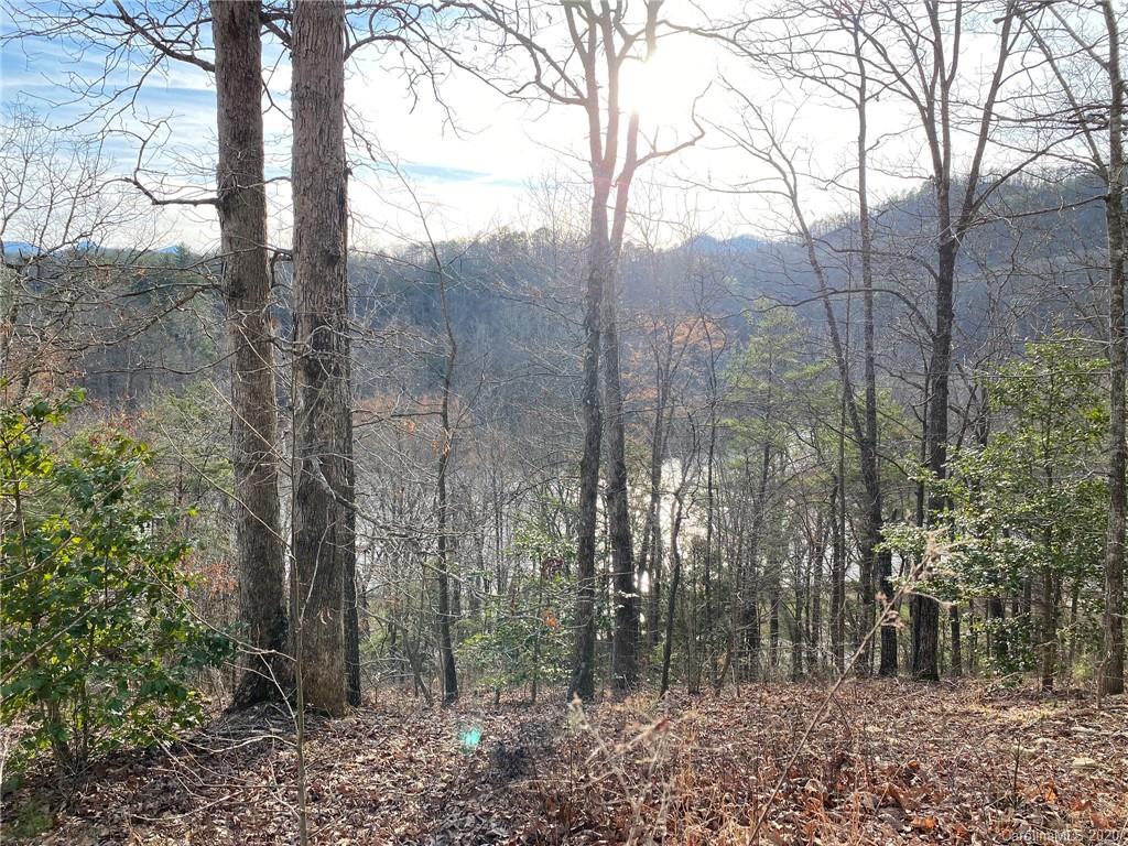 5924 River Road, Unit 4 Hot Springs, NC 28743 - Photo 14 of 27 Gallery Image 14