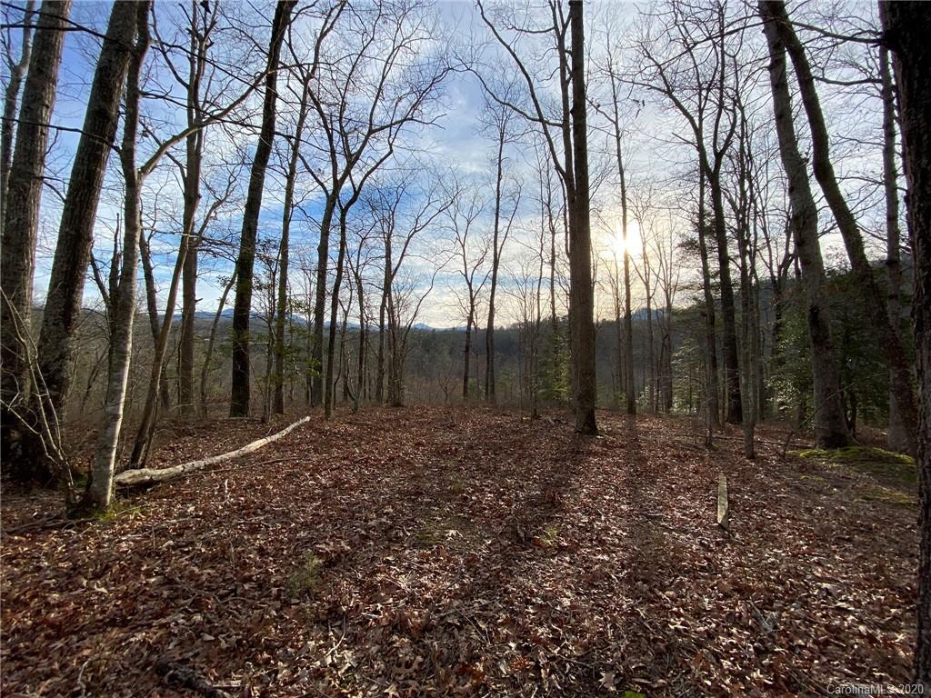 5924 River Road, Unit 4 Hot Springs, NC 28743 - Photo 3 of 27 Gallery Image 3