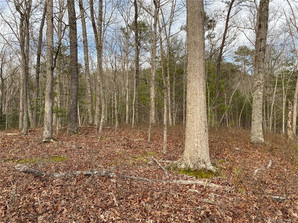 5924 River Road, Unit 4 Hot Springs, NC 28743 - Photo 22 of 27 Gallery Image 22