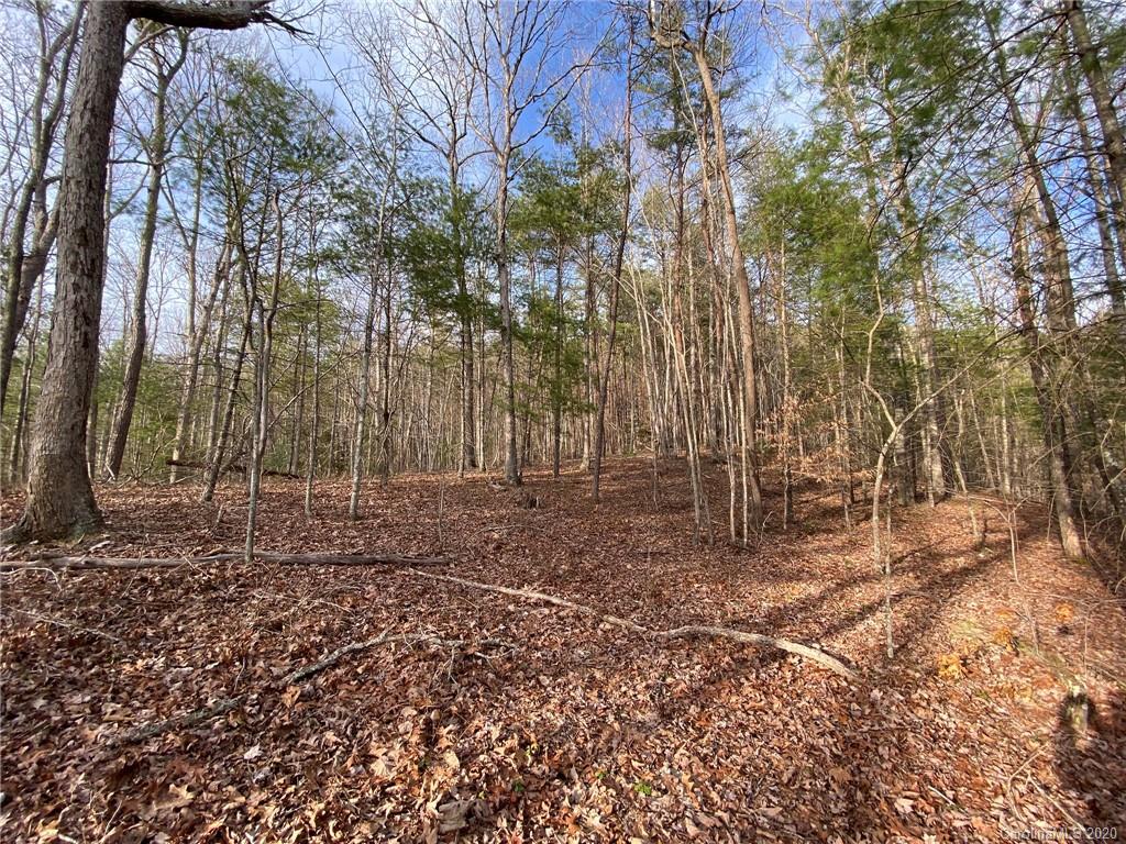 5924 River Road, Unit 4 Hot Springs, NC 28743 - Photo 4 of 27 Gallery Image 4