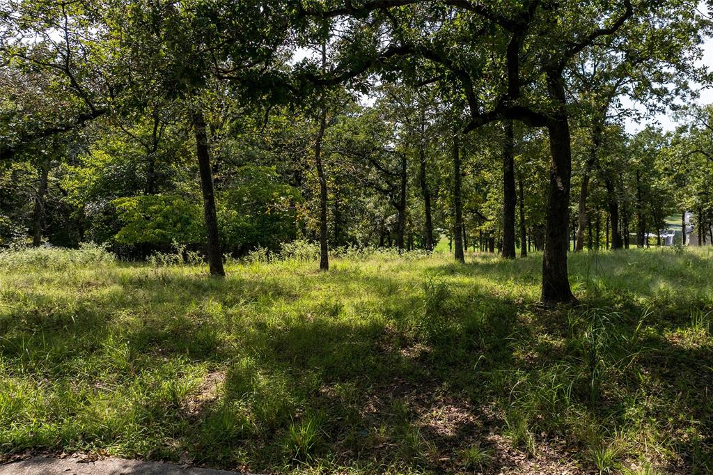 3570 Pleasant Run Circle Athens, TX 75752 - Photo 13 of 31 3570 Pleasant Run