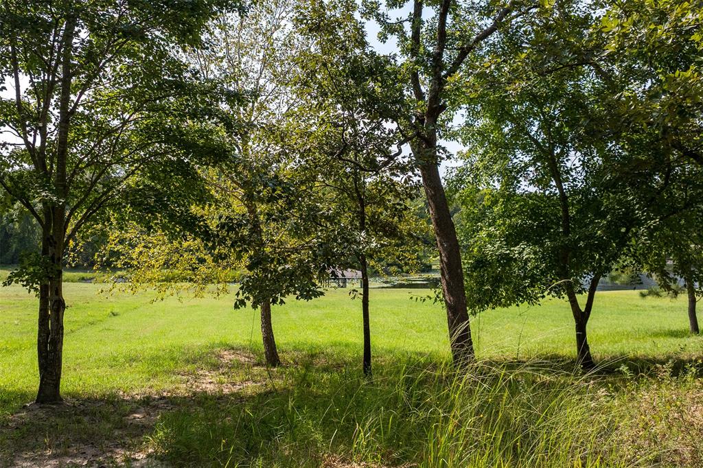3570 Pleasant Run Circle Athens, TX 75752 - Photo 17 of 31 3570 Pleasant Run