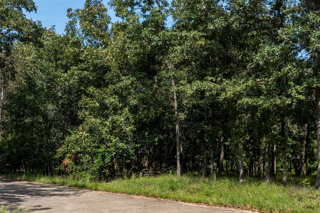 3570 Pleasant Run Circle Athens, TX 75752 - Photo 23 of 31 3600 San Saba