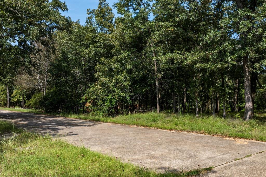 3570 Pleasant Run Circle Athens, TX 75752 - Photo 24 of 31 3600 San Saba