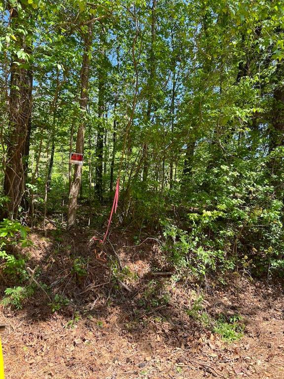 3640 Union Road Southwest Atlanta, GA 30349 - Photo 4 of 5