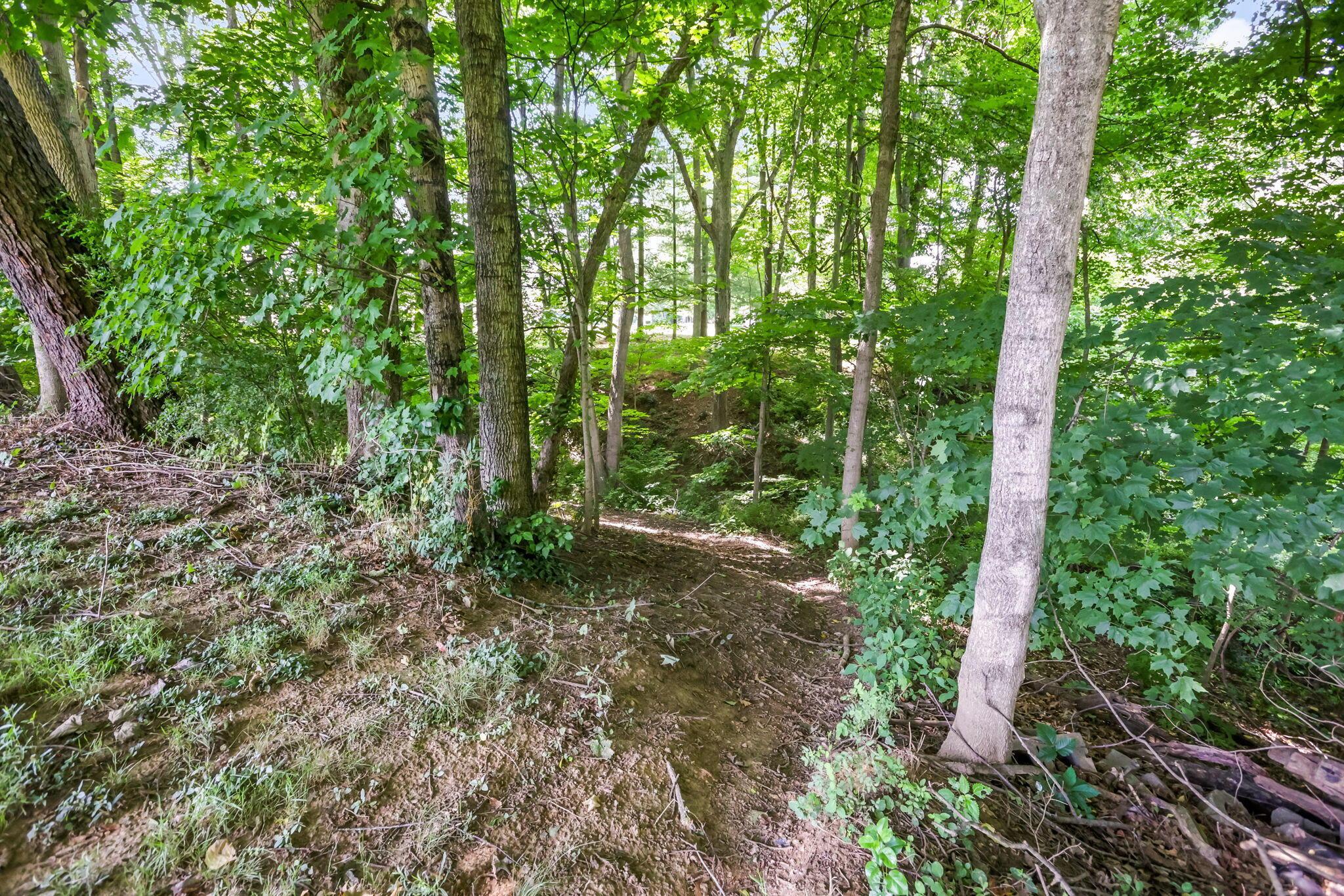 27188 Stuart Road Rockbridge, OH 43149 - Photo 42 of 48 49-web-or-mls-LO5A5296