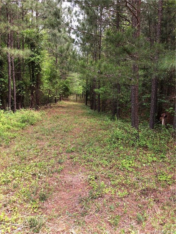 0 Sandy Level Church Road Bostic, NC 28018 - Photo 3 of 15