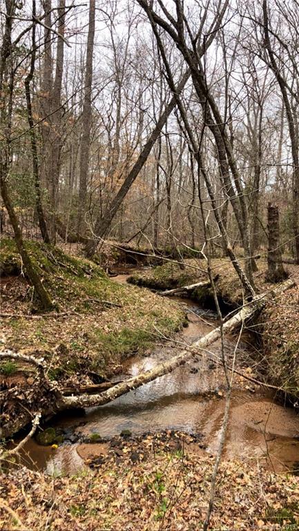 0 Sandy Level Church Road Bostic, NC 28018 - Photo 7 of 15