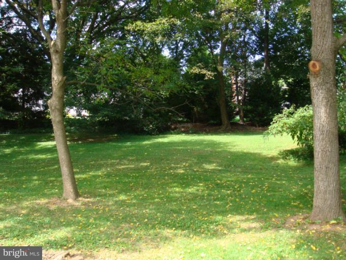 2408 Rochelle Drive Fallston, MD 21047 - Photo 4 of 6 a view of field with tall trees