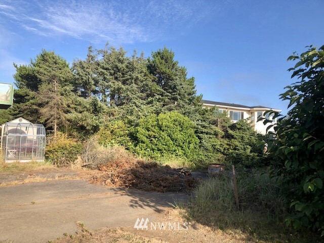 32 McCullough Road Copalis Beach, WA 98535 - Photo 1 of 20 Gallery Image 1