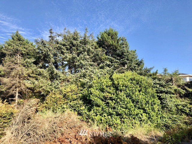 32 McCullough Road Copalis Beach, WA 98535 - Photo 11 of 20 Gallery Image 11