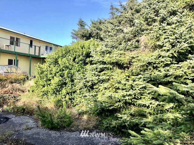 32 McCullough Road Copalis Beach, WA 98535 - Photo 9 of 20 Gallery Image 9