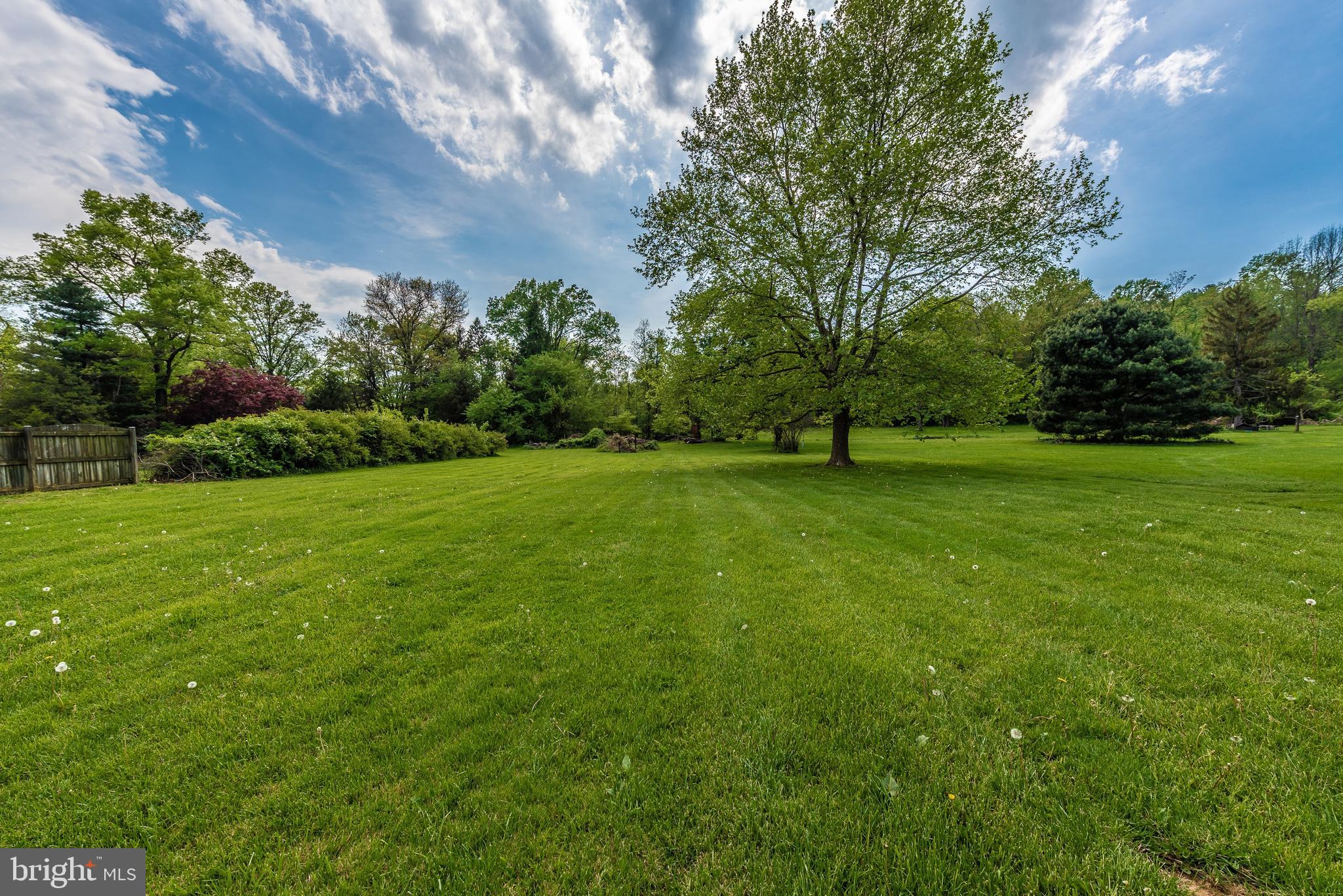 7832 Rocky Springs Road Frederick, MD 21702 - Photo 38 of 41 Private back yard - endless possibilities.