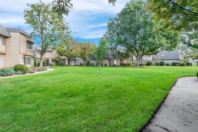 a view of a park with large trees