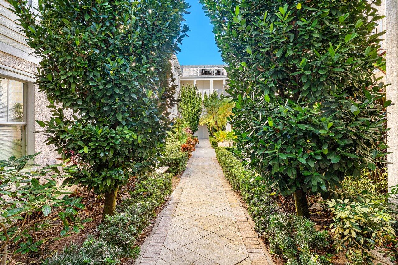 276 Murcia Drive, Unit 301 Jupiter, FL 33458 - Photo 34 of 52 a view of a pathway with plants