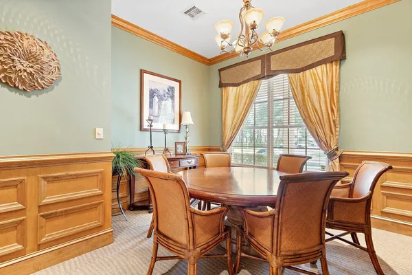 a view of a swimming pool with a garden and plants