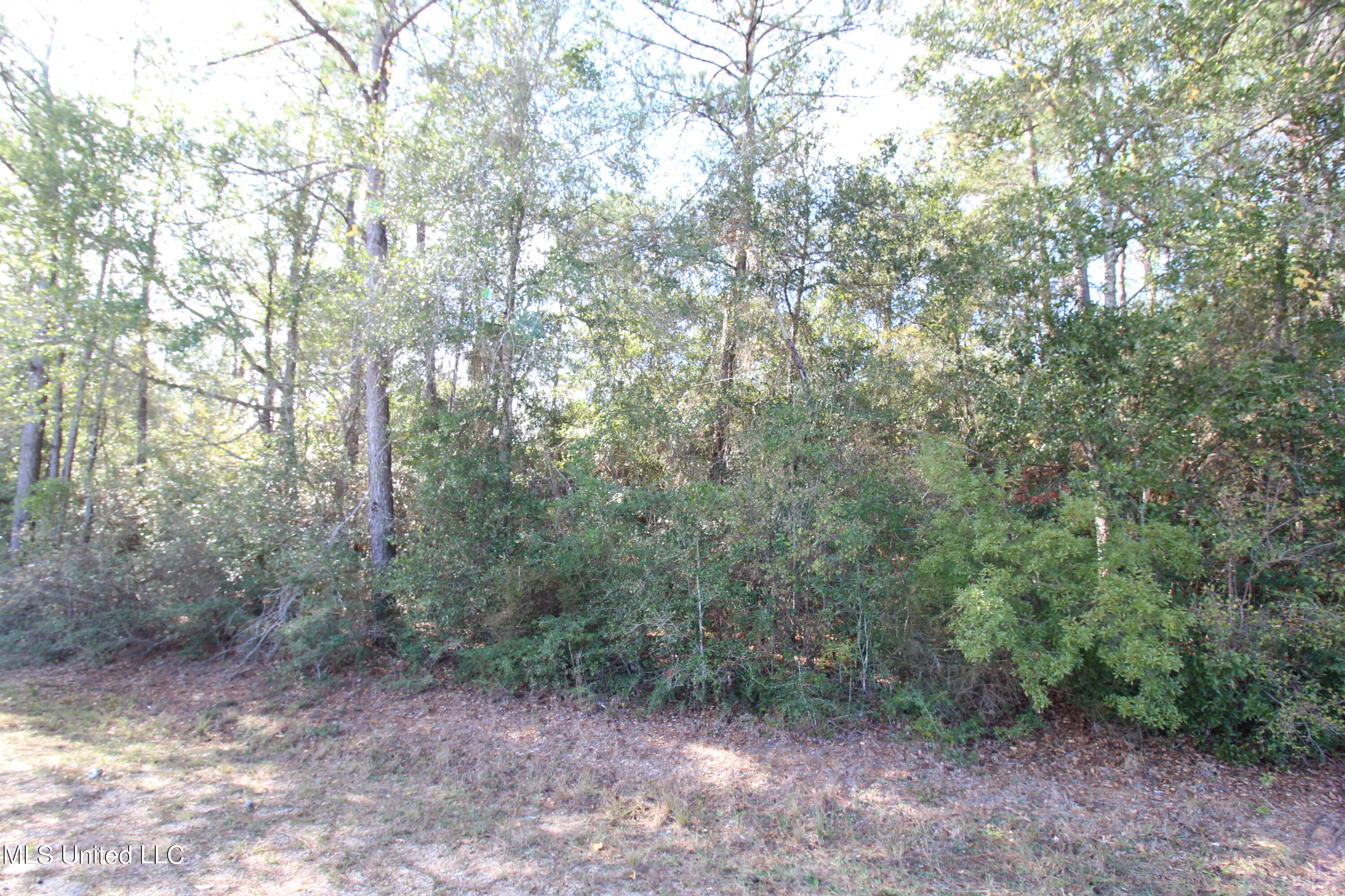 2.1-ac Inland Beach Road Lucedale, MS 39452 - Photo 1 of 4 IMG_3428