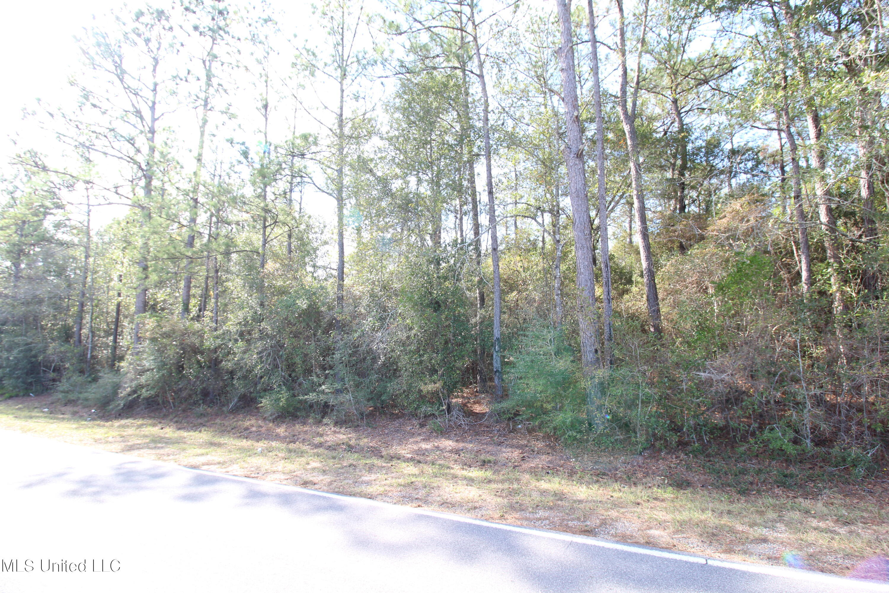 2.1-ac Inland Beach Road Lucedale, MS 39452 - Photo 3 of 4 IMG_3433