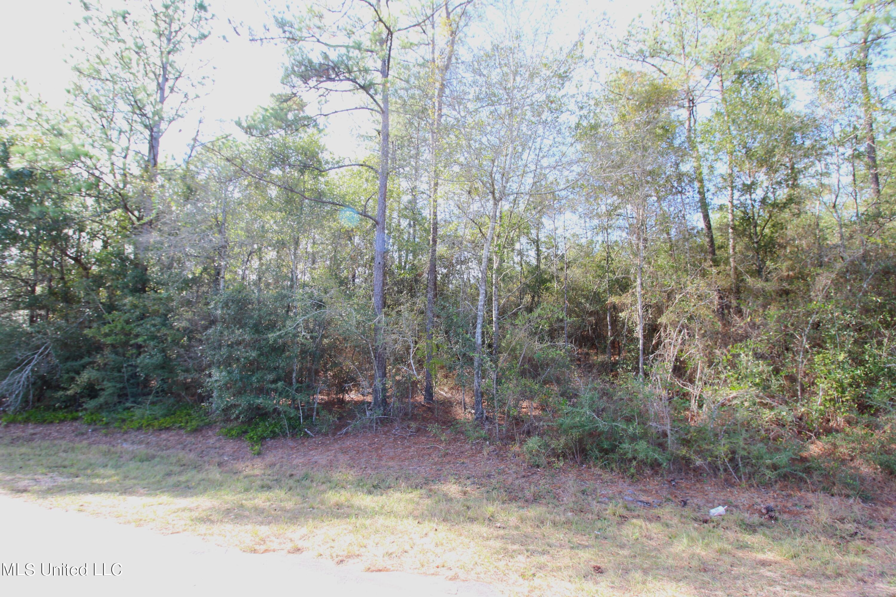 2.1-ac Inland Beach Road Lucedale, MS 39452 - Photo 4 of 4 IMG_3436