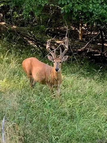 $6,000 | 2161 North Lake Sherwood Drive, Lake Sherwood, MO 63357