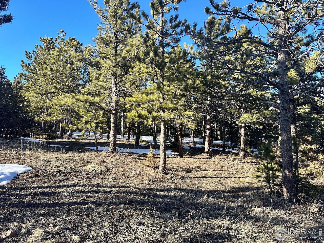 61 Rim Road Boulder, CO 80302 - Photo 11 of 33