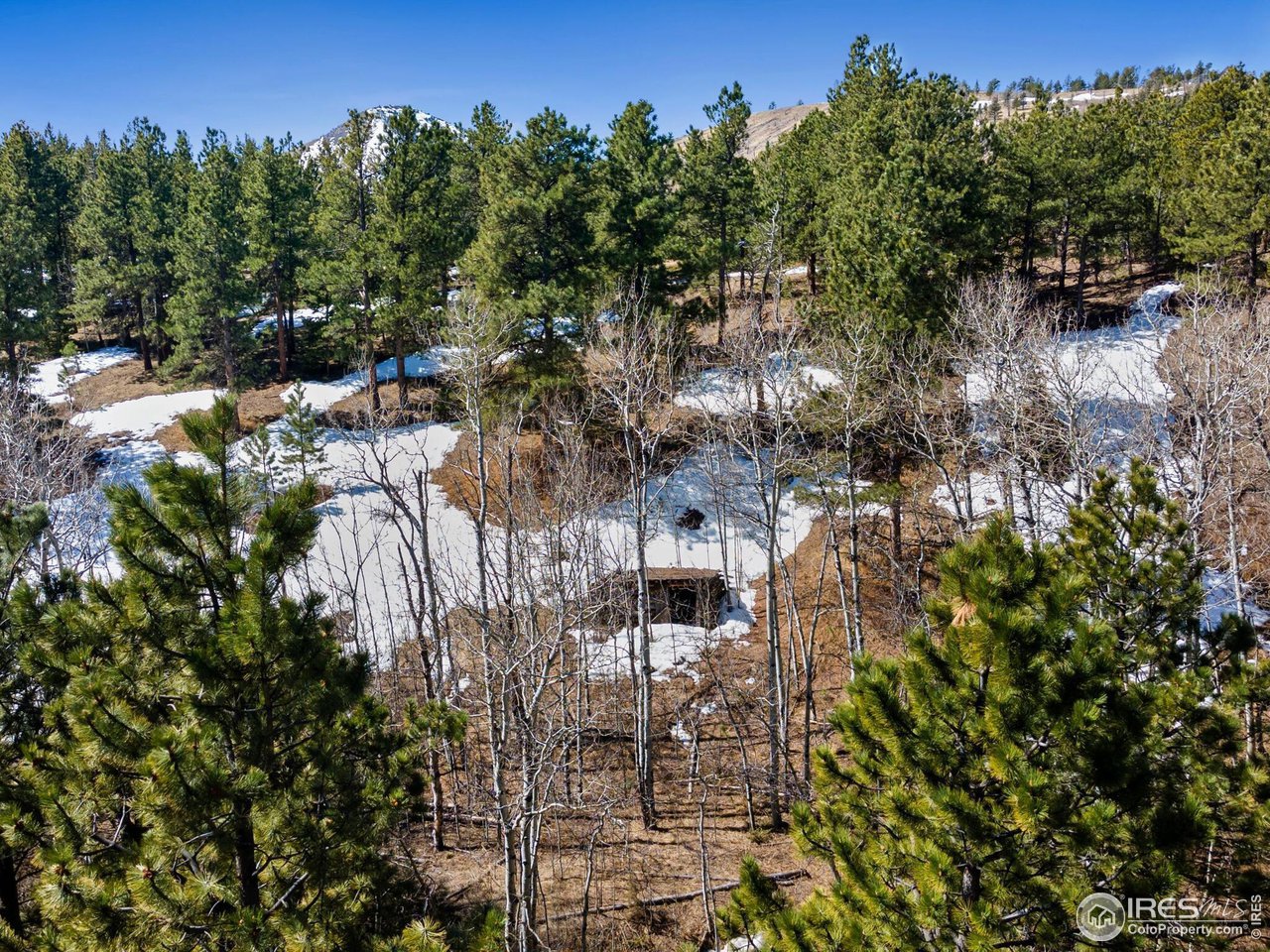 61 Rim Road Boulder, CO 80302 - Photo 18 of 33