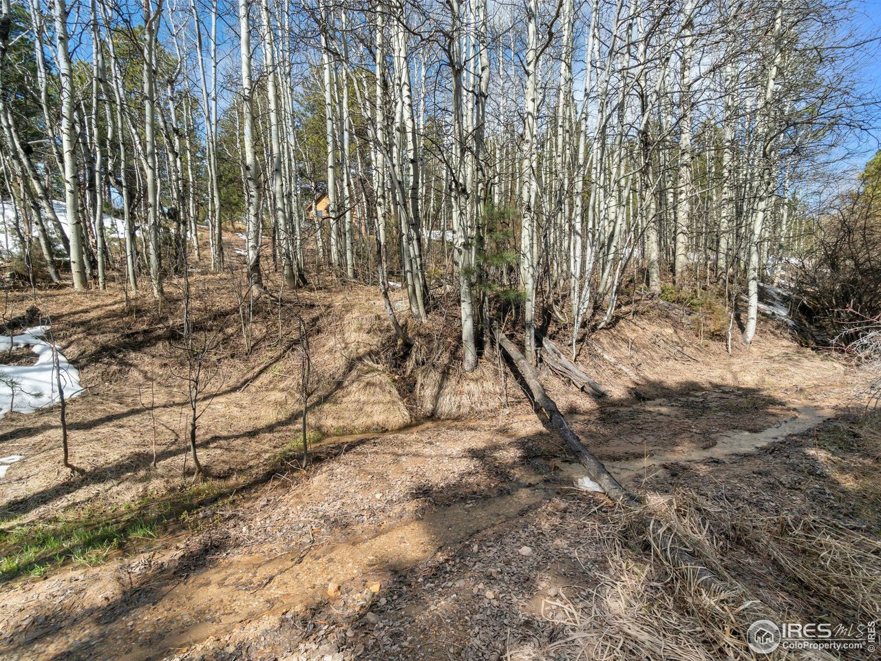 61 Rim Road Boulder, CO 80302 - Photo 21 of 33