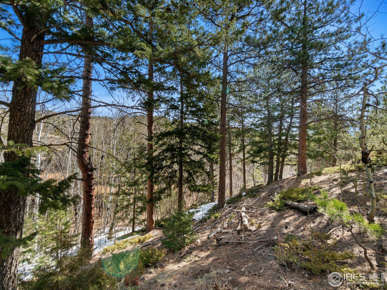 61 Rim Road Boulder, CO 80302 - Photo 22 of 33