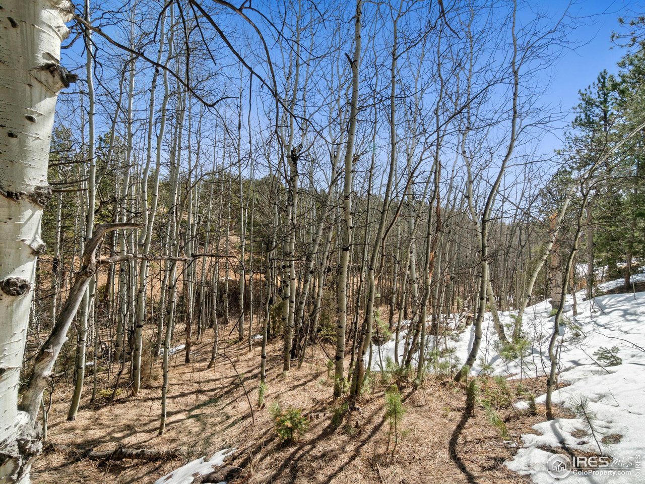 61 Rim Road Boulder, CO 80302 - Photo 23 of 33