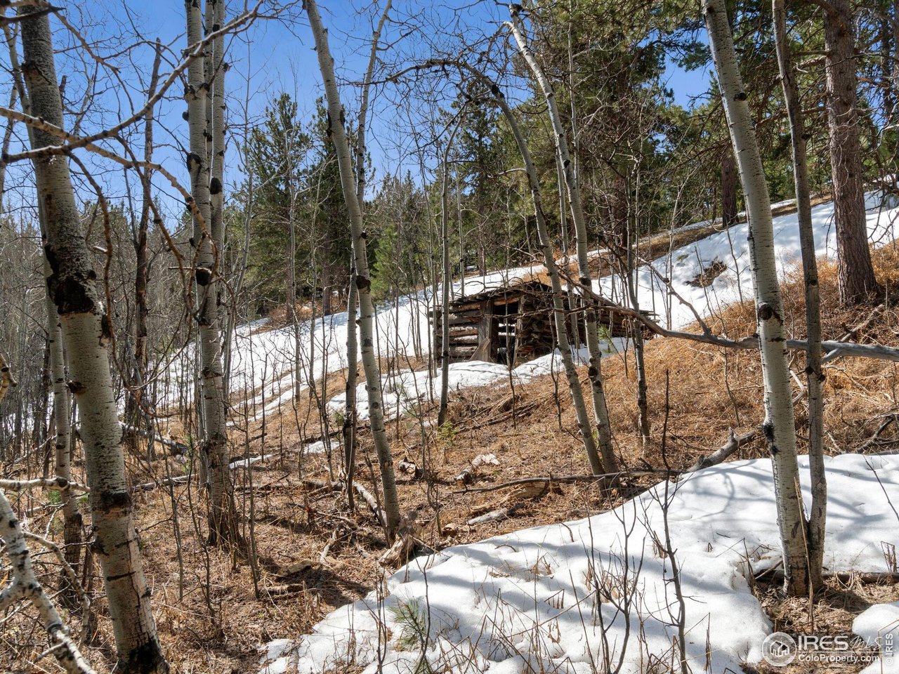 61 Rim Road Boulder, CO 80302 - Photo 26 of 33