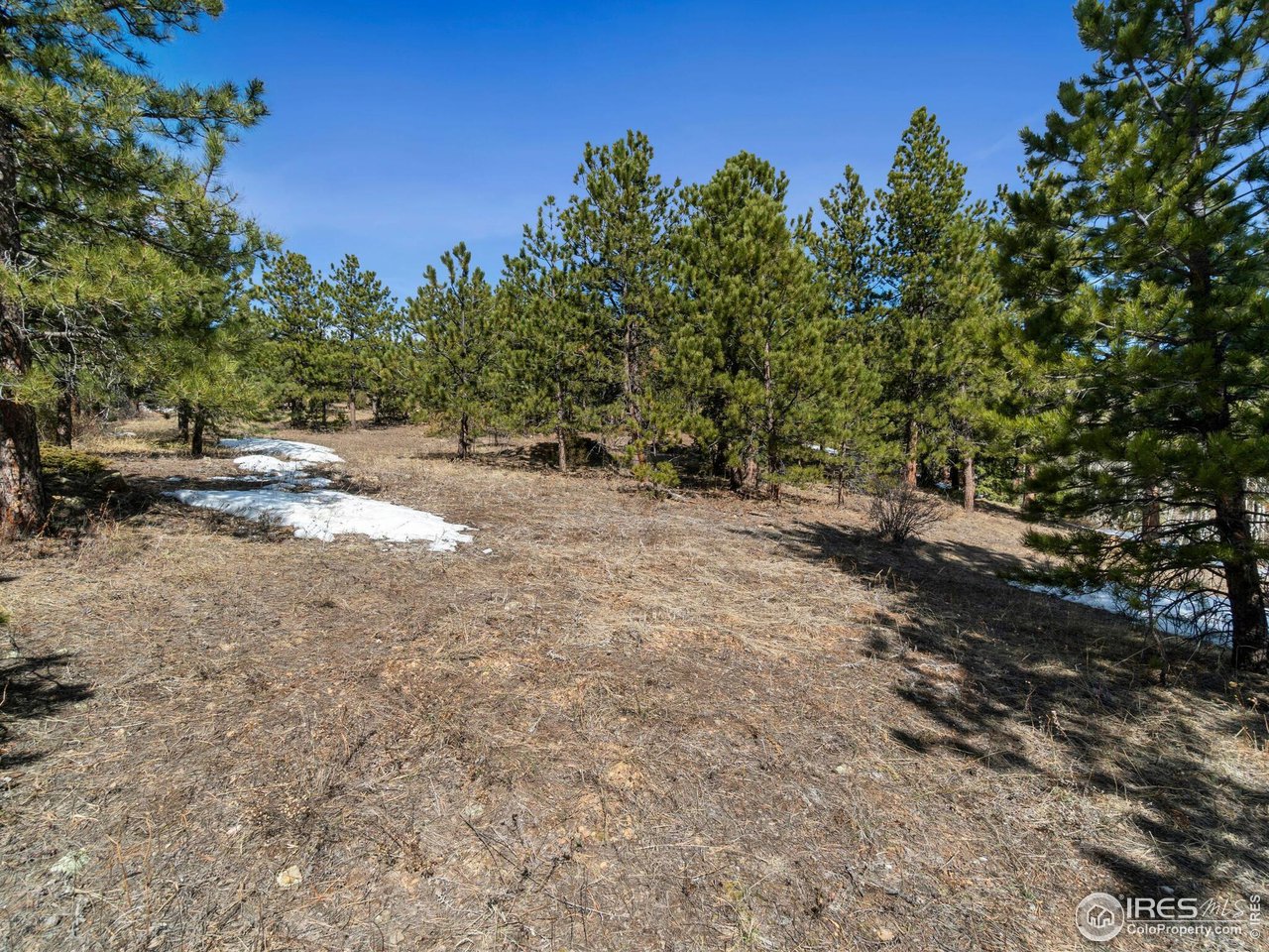 61 Rim Road Boulder, CO 80302 - Photo 28 of 33