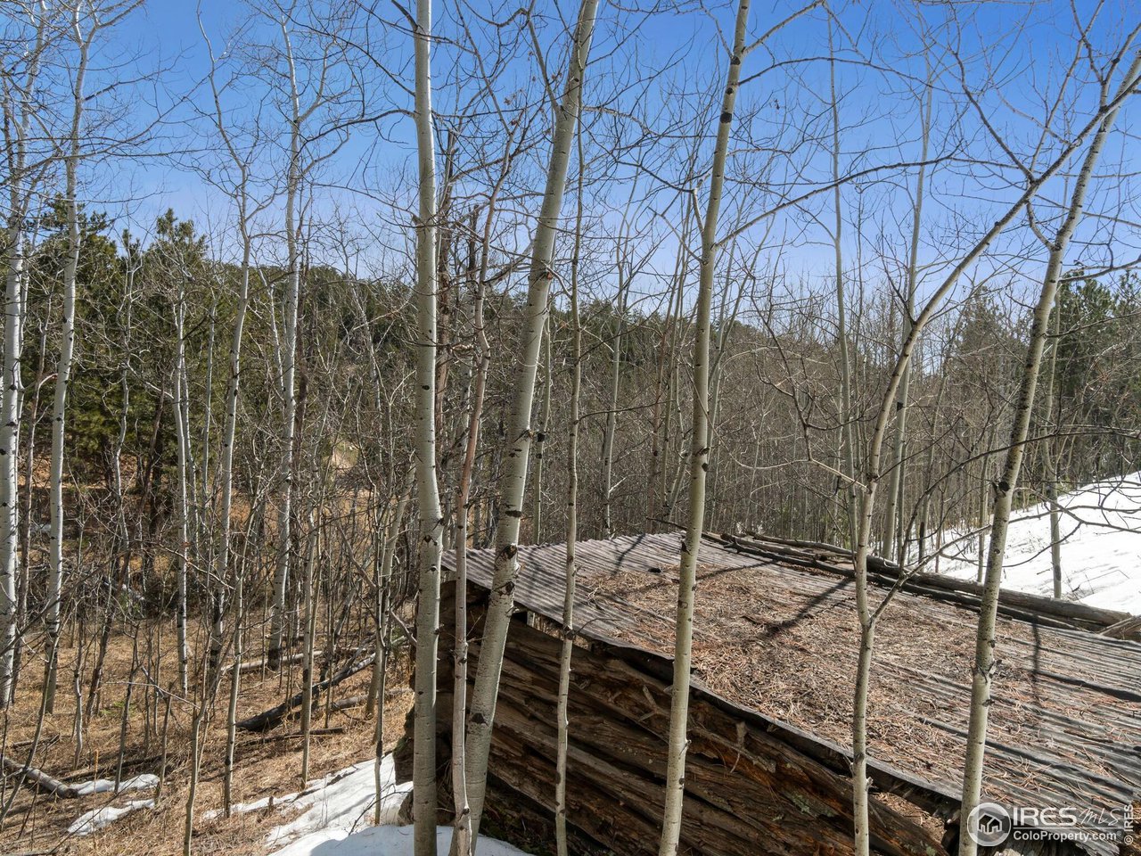 61 Rim Road Boulder, CO 80302 - Photo 29 of 33