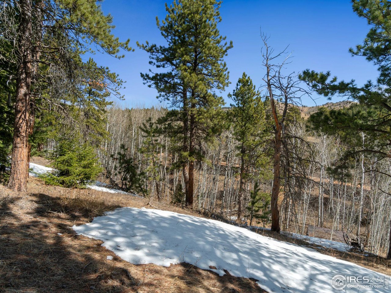 61 Rim Road Boulder, CO 80302 - Photo 30 of 33