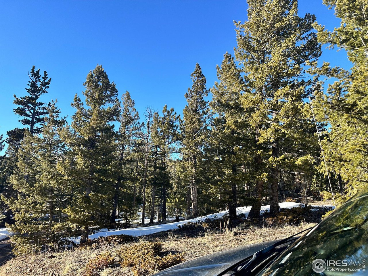 61 Rim Road Boulder, CO 80302 - Photo 6 of 33